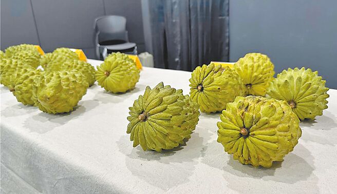 台东县府13日证实首批销往大陆的台东凤梨释迦被验出虫害。凤梨释迦示意图。（蔡旻妤摄）