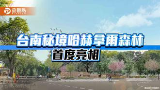 品观点｜台南竹溪整治年后完工 秘境哈赫拿尔森林首曝光