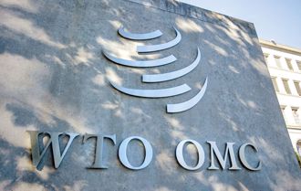 兩岸經貿「最大惡夢」將成真？王鴻薇轟綠營不敢做這事