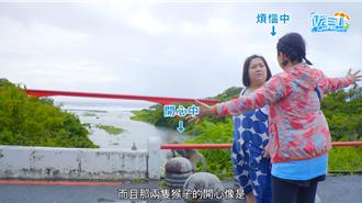 杨贵媚邀锺欣凌作客《阮三个》 羞撞见猴子交配秀