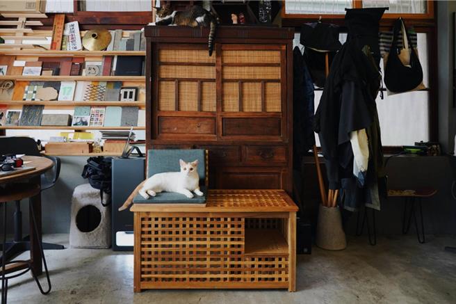 高雄市動保處呼籲，人與動物能彼此相遇成伴是很棒（bàn）的事！未來也希望融入「家」的概念，創造一個人與動物一起同住的質感生活。（高雄市動保處提供／林雅惠傳真）