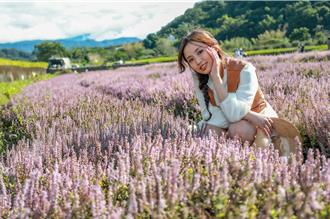 2023關西仙草節熱鬧登場 小鎮文農市集選購優質農特產品