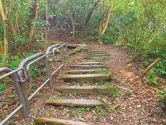 新店 通往二叭子步道毀損 新店公所春節後修復