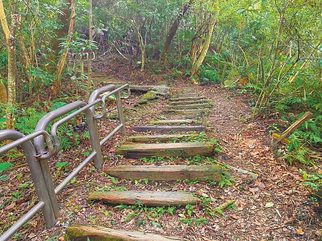 通往二叭子植物園的步道，長年失修，枕木毀損，鋼筋裸露，新北市議員陳儀君日前邀集當地里長、新店區公所會勘，會後決議，公所預計明年農曆年後進場維修。（新店區公所提供／高鈞麟新北傳真）