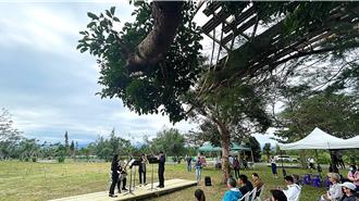 國產材地景藝術《林中懸亭》亮相！ 隨光影隱身大自然 眾人驚呼「找不到」