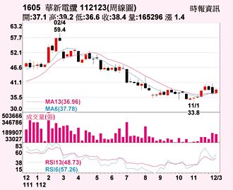 華新 年營收衝新高
