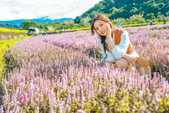 關西仙草節文農市集 集章換優惠