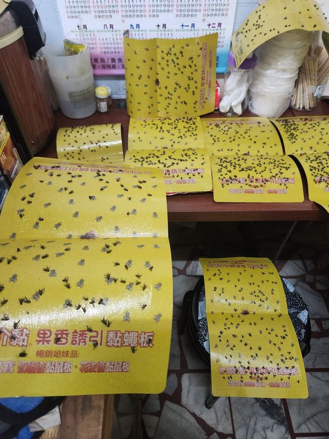 有網友在網上分享19張黏蠅板黏滿蒼蠅照片，也哀怨歎「別住焚化爐附近」。（圖／翻攝自臉書爆廢公社）