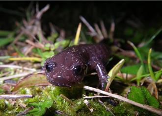 首屆觀光亮點獎出爐 雪管處榮獲兩大獎項