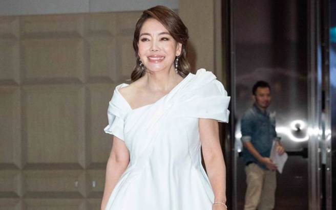 辛晓琪被爆出曾借煲汤女神黎台丽40万但却被赖帐。（图／中时资料照）