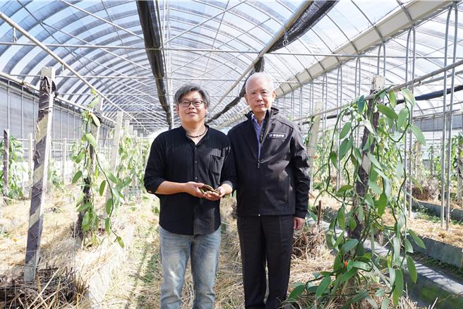 国内香草9成仰赖进口，彰化唯二的香草农刘煌基（左），2016年投入香草种植，成功种植稀有的「大溪地品种」，背后支持其前进的好食好事基金会「食农创生计画」幕后推手基金会捐助人代表魏应充（右），18日到访刘煌基农场。（吴建辉摄）