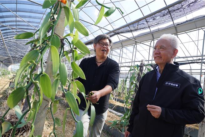 魏应充（右）也到田里参观香草种植，他说，看到彰化许多荒废的农场其实很不舍，盼能透过基金会的协助，协助年轻创业者，让当地风土农产、美食与服务加值，提升竞争力和知名度。（吴建辉摄）