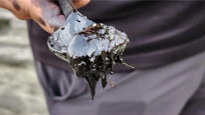 台灣東海岸多個縣市出現不明油汙，基隆市潮境保護區潮間帶8日也發現有零星油汙，市府產發處表示，油汙目前已經大致刮除完畢。（基隆市政府提供／張志康基隆傳真）