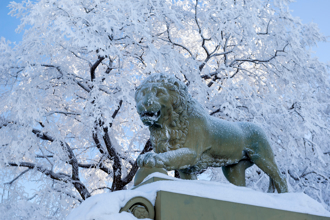 大陸不產獅子 古人玩雪卻超愛「堆獅」 專家揭原因