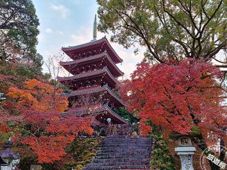 搜羅高知必玩6大特色景點