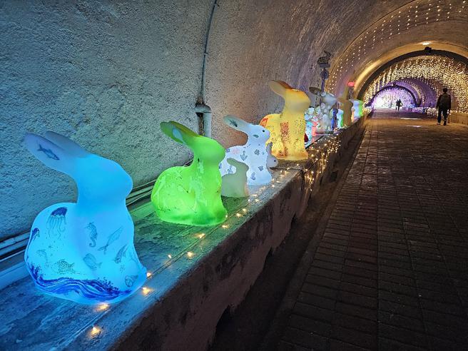 30多隻造型各異的螢光彩兔駐守，讓人眼睛為之一亮。（圖片來源：國立中山大學提供）

