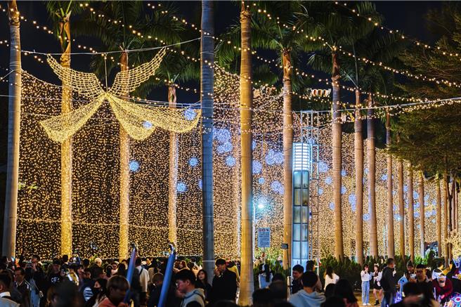 中央公園點亮近25公尺高耶誕樹及周邊光環境作品串連人流，預計週末將持續帶來更大量的人潮與消費。（高雄市政府文化局提供）