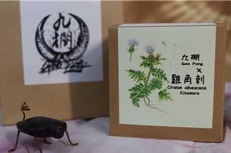 屏東九棚社區搶攻養生市場 開發「土人蔘」雞角刺茶包