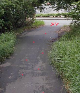 「撒鐵釘怪客」又現蹤台中？ 警稱是這件事造成的