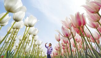 陸加速城鄉融合 明年CPI將溫和回升