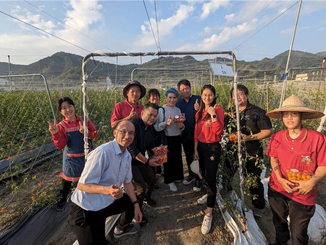 橙蜜番茄多次于评鑑获奖，经由农场介绍品嚐甜美的小番茄，也让泰国友人留下深刻的印象。（高雄市农业局提供／林雅惠传真）