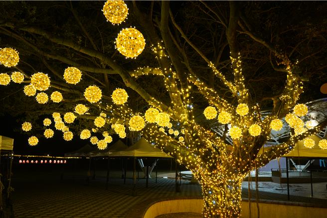 膨鼠森林公園內的一棵燈籠花樹。（斗六市公所提供）