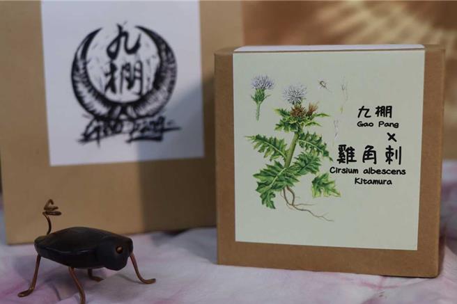 近期垦管处辅导满洲乡九棚社区建置鸡角刺风味茶产业，打造永续友善环境产业。（垦管处提供／谢佳潾屏东传真）