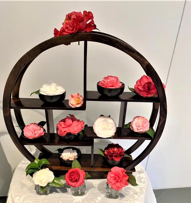 新竹縣府農業處將在23、24日於文化局文化廣場舉辦「茶花客風」茶花季活動。（新竹縣府提供／邱立雅竹縣傳真）