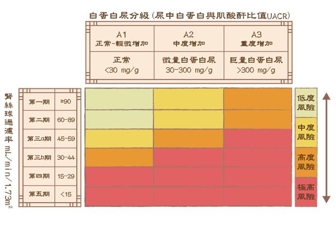 透过抽血检验肾丝球过滤率（eGFR）、尿液检验白蛋白，将2项数值以「肾臟红绿灯图」交叉比对，若数值落在黄色或橙色区块，属于早期慢性肾臟病徵兆。（台湾肾臟医学会提供）