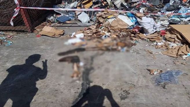 员工在检查货物时，发现回收纸板内有人骨。图／翻摄自Facebook／ข่าวศรีราชาท้องถิ่น）