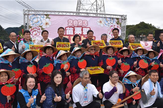 苗栗縣長鍾東錦與苗栗市長邱鎮軍等參加大湖鄉草莓正式上市推廣活動。（謝明俊攝）