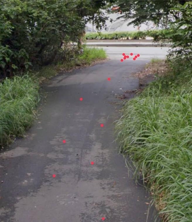 清水警分局在出現「螺絲」路段附近的調閱相關監視器畫面，查看有無可疑車輛及行為，進一步釐清案情，維護市民及用路人安全。（清水警分局提供／張妍溱台中傳真）