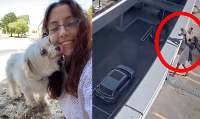 女子艾咪竟然摔狗出气。（合成图／翻摄自脸书与RSPCA WA）