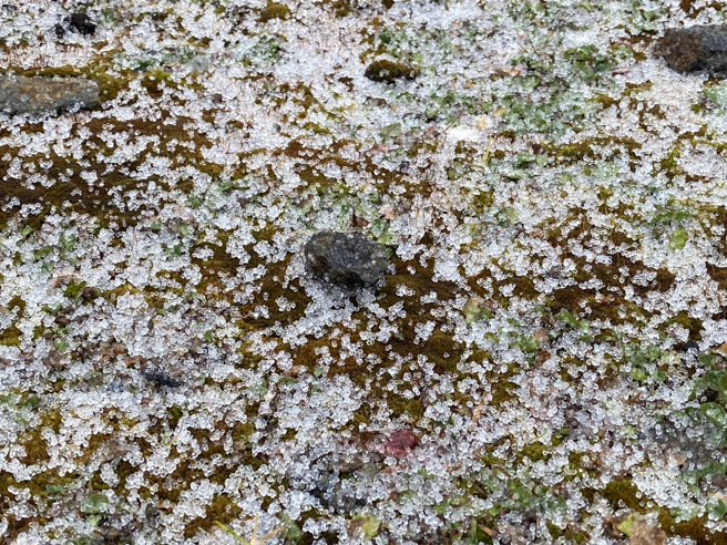 玉山气象站上午开始下起冰珠。(气象署提供)