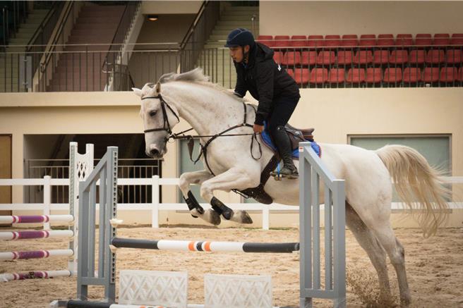 「2023后里马场开幕障碍超越锦标赛」将于23日至24日举办，届时将以马术赛事重现马场风华。（台中市观旅局提供）