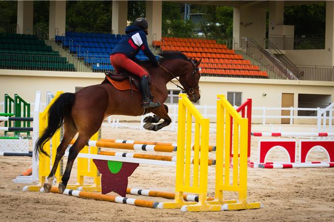 「2023后里马场开幕障碍超越锦标赛」将于23日至24日举办，届时将以马术赛事重现马场风华。（台中市观旅局提供）