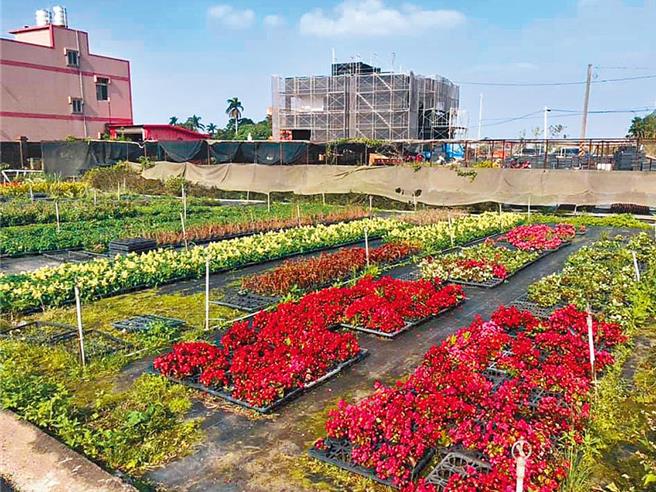 寒流来袭，农业部桃园区农业改良场呼吁农友做好防范措施。图为示意图。（本报资料照片）