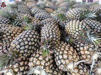 赵少康轰WTO申诉未果  农业部：19度提关切未获陆回应