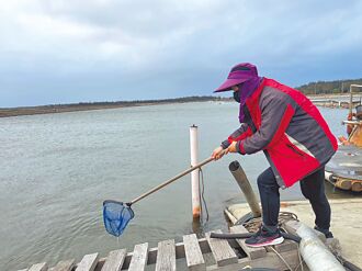 雲林虱目魚防凍斃 漁民連2夜備戰