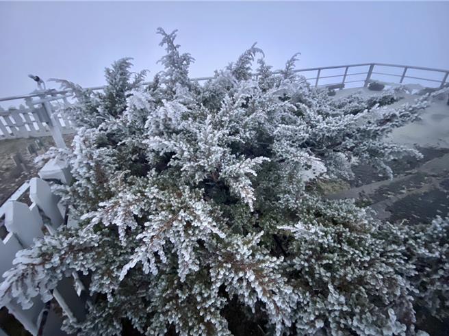 玉山氣象站（玉山北峰）今晨霧淞。（氣象署提供／林良齊台北傳真）