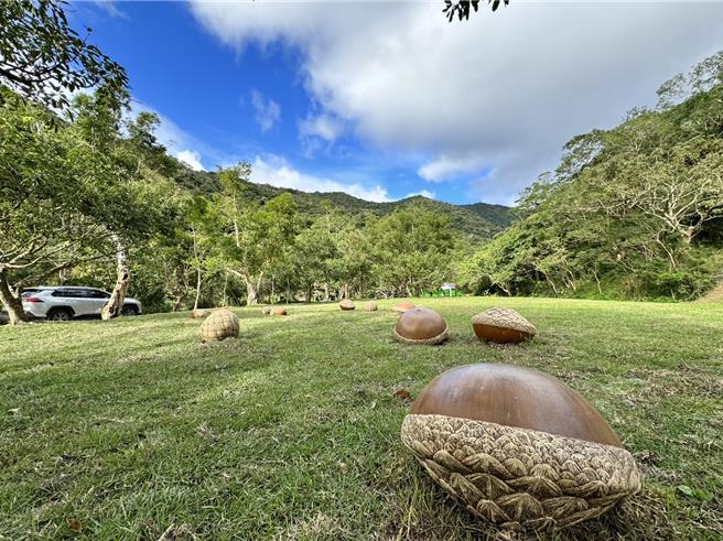 双流国家森林游乐区的阳光草坪上，最近出现了巨大的壳斗科「橡实」，惊艳眾人。（林业署屏东分署提供／谢佳潾屏东传真）