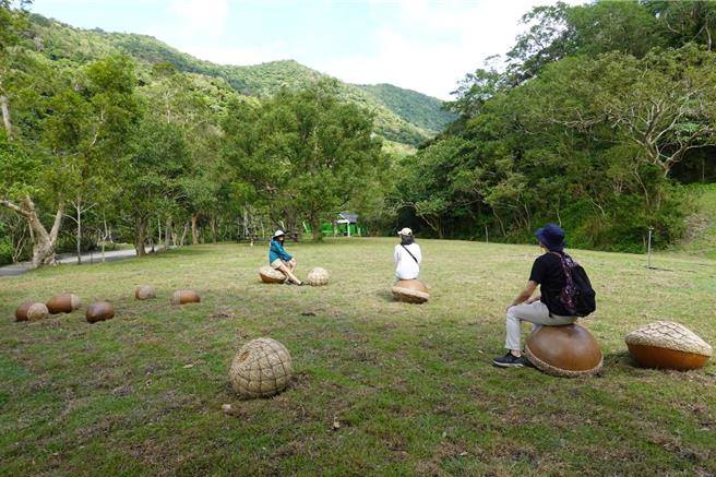 双流国家森林游乐区的阳光草坪上，最近出现了巨大的壳斗科「橡实」，惊艳眾人。（林业署屏东分署提供／谢佳潾屏东传真）