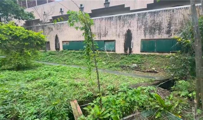 基隆市中正區一名85歲獨居張姓老翁13日因精神狀況不濟被送醫，20日醫院要求老翁出院，先暫時安置回住所，隔日老翁失蹤，在3公里外菜園附近發現死亡。圖為發現老翁遺體的菜園草坪地。（翻攝畫面／徐佑昇基隆傳真）