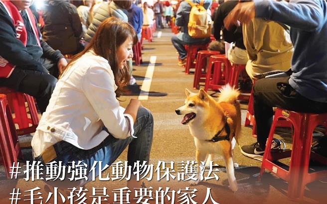 民進黨台北市議員許淑華表示，動保法目前針對虐待、殺害動物的行為罰責太輕，應該調高相應刑責，將虐待動物致死亡、傷殘等罪行，最重本刑調高為五年以上，最輕本刑提高為一年以上，斷絕易科罰金的機會。（摘自許淑華臉書／丁上程台北傳真）