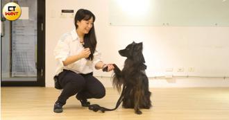 翻轉大眾觀點！「浪浪這麼棒」變身推手 碩士工程師棄高薪築夢