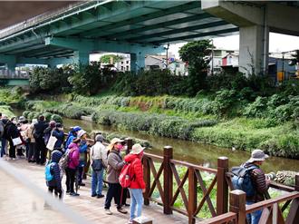 湳仔溝生態復育有成 舉辦生態教育廊道展現生物多樣性