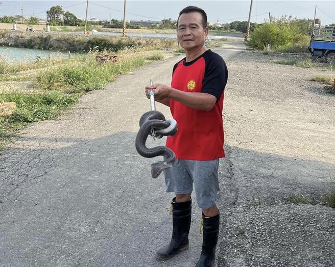 下營區營前里里長姜忠志抓蛇和摘除蜂窩的服務，讓不少里民津津樂道。（營前里里長姜忠志服務處提供／張毓翎台南傳真）