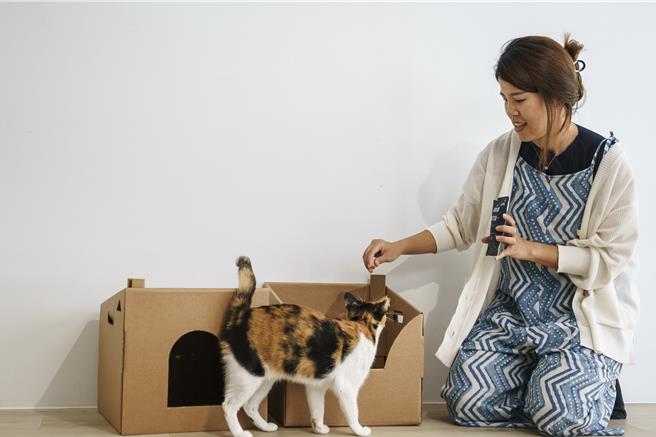 「宠物用纸箱」不再只是携带宠物回家的一次性纸箱，而是让毛孩逐步适应新生活的「家」。（高雄市动保处提供／林瑞益高雄传真）