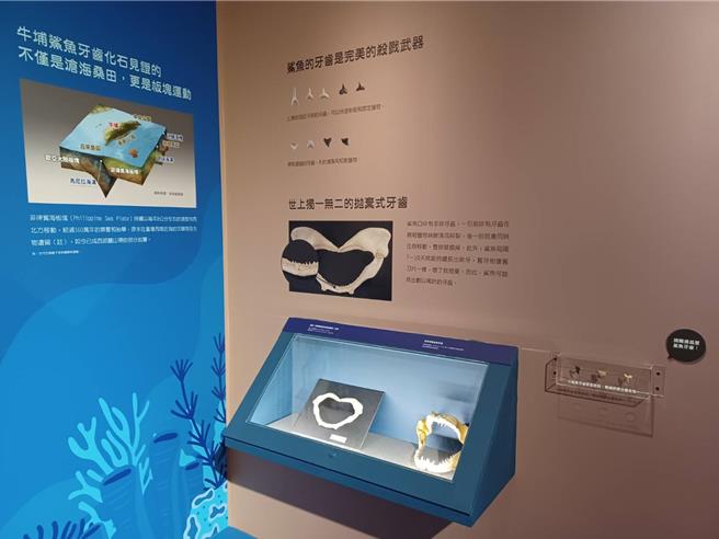 為增加觀展趣味，現場也設計多項參與式的展示手法。（嘉義市政府提供∕呂妍庭嘉義傳真）