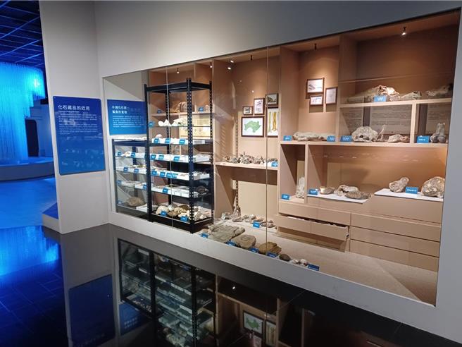 「化石藏品近用」展區，以可見式庫房及密集式展示的方式將館藏化石分類展出。（嘉義市政府提供∕呂妍庭嘉義傳真）